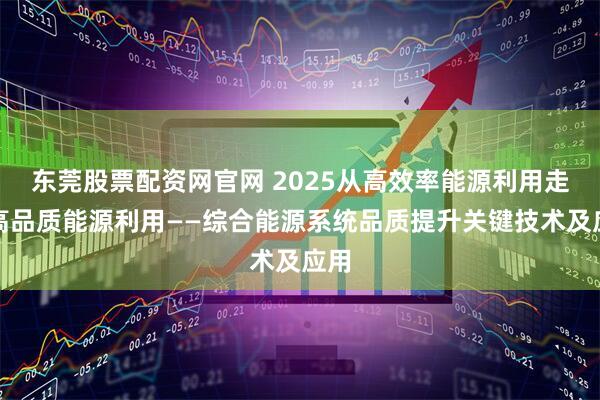 东莞股票配资网官网 2025从高效率能源利用走向高品质能源利用——综合能源系统品质提升关键技术及应用
